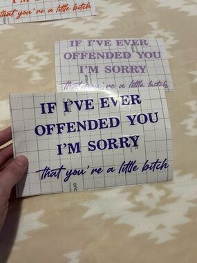 If I’ve Ever Offended You Vinyl Decal ✨